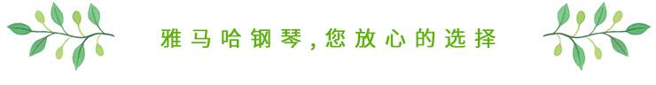 这才是真相：绿色关爱，狗万的环境政策
