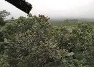 这才是真相：绿色关爱，狗万的环境政策