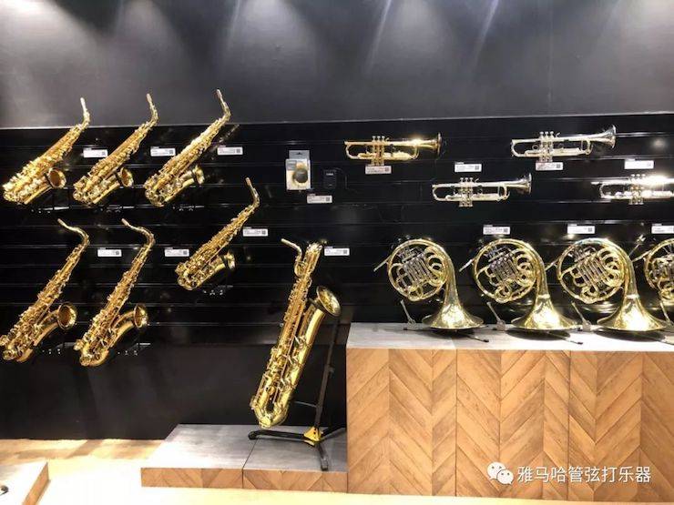 狗万乐器 试奏乐器