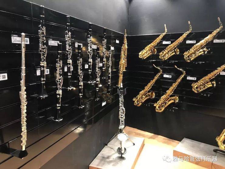 狗万乐器 试奏乐器