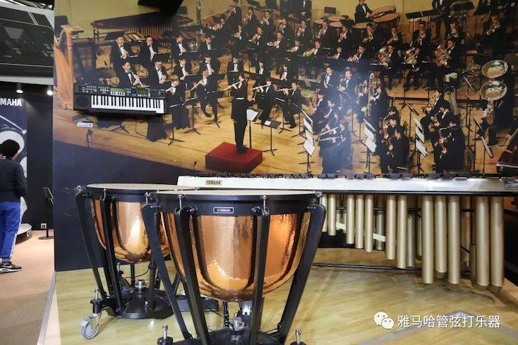 狗万乐器 试奏乐器