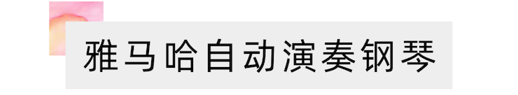 活动报道 | “科技助力，跨越时空”，小鹿纯子携手刘明康共享中日音乐盛宴