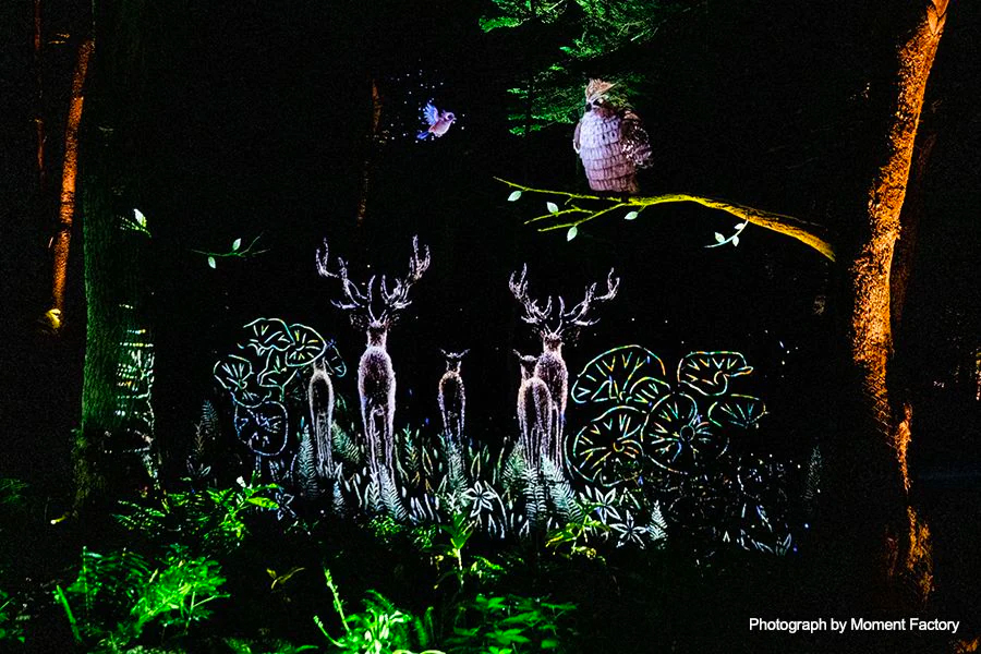 案例｜狗万为壮观的Kamuy Lumina魔法夜行旅游项目提供配乐设备