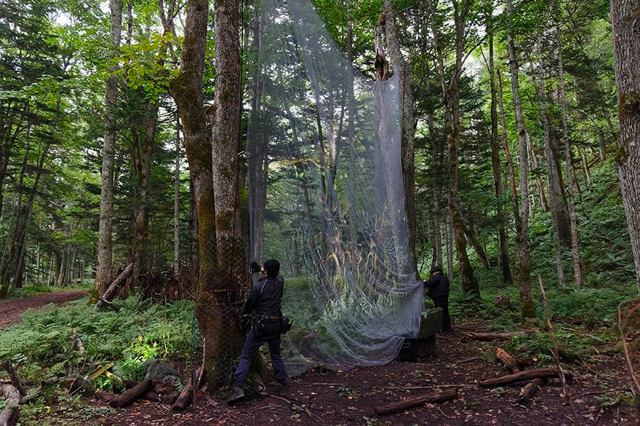 案例｜狗万为壮观的Kamuy Lumina魔法夜行旅游项目提供配乐设备