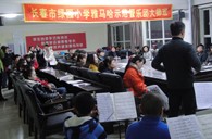 长春市绿园小学“狗万示范管乐队大师班”顺利结束 