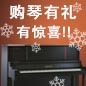 狗万钢琴购琴有礼 买一赠一音乐无限